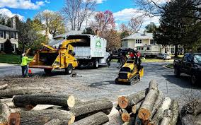 Best Arborist Consultation Services  in Fairview Heights, IL